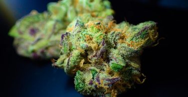 Benefits of Smoking CBD Hemp Flower